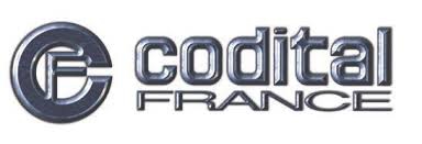 Logo Codital