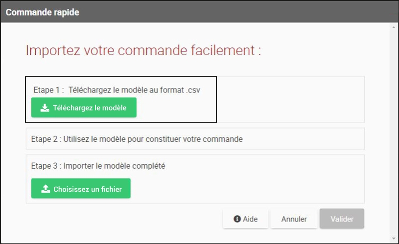 Téléchargez le modèle