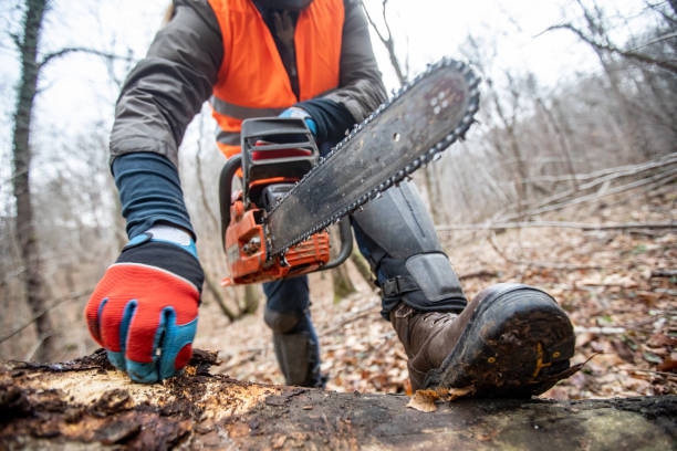 gants anti-coupures et vêtements anti-coupures pour forestier