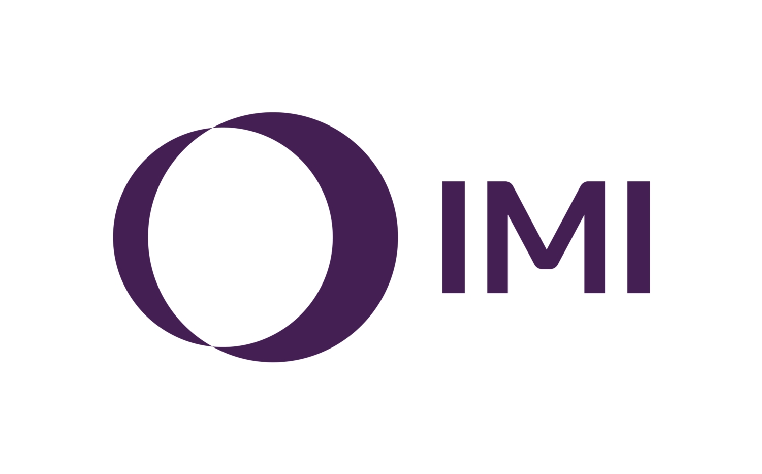 Logo IMI