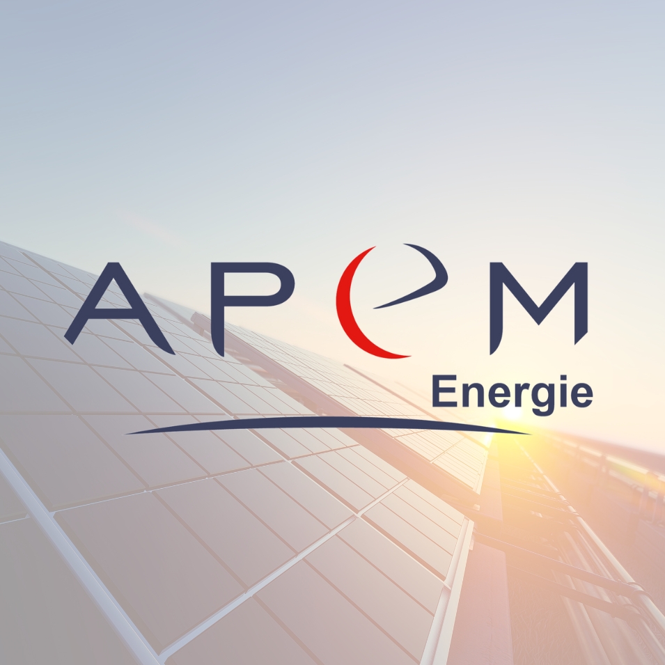Logo APEM
