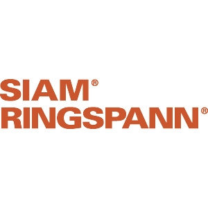 Logo Ringspann