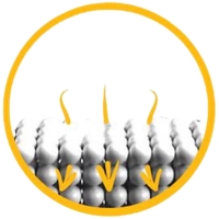 Schéma perméation gant chimique