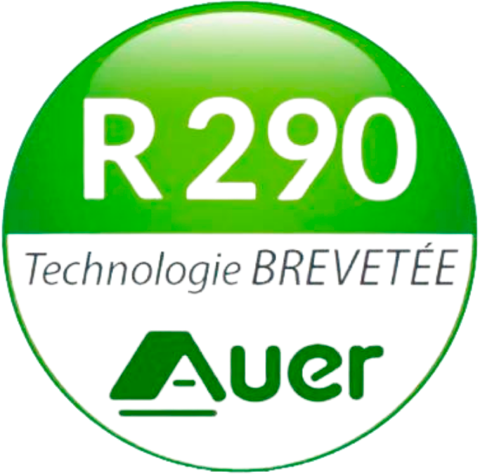 logo R290 Auer