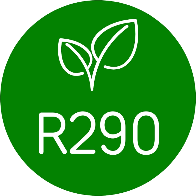 R290