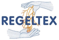 Logo Regeltex