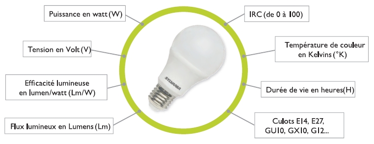 Les différents types de lampes ou d'ampoules