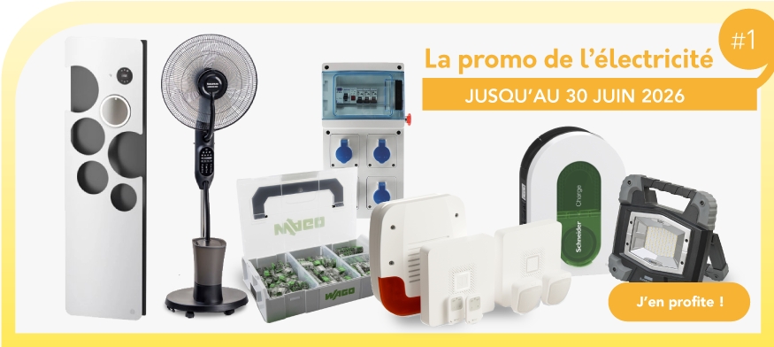 La promo de l'électricité