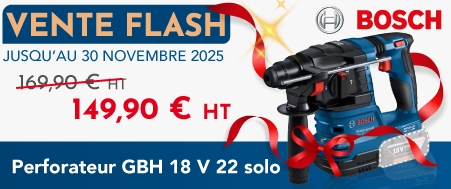 4203341 Perforateur Bosch Professional