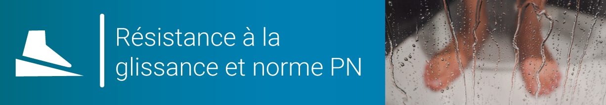 norme pn antigliss