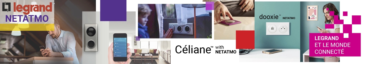 Prise mobile connectee Celiane with Netatmo 16A 3680W - graphite