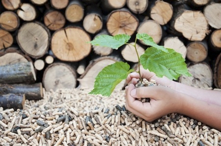  définition de la biomasse