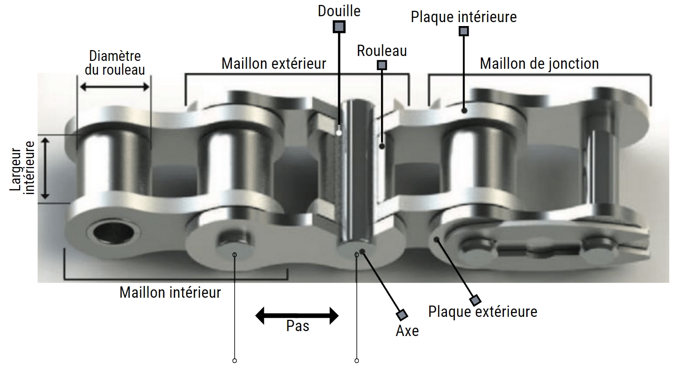 Schéma de la composition d'une chaîne et références de maillons