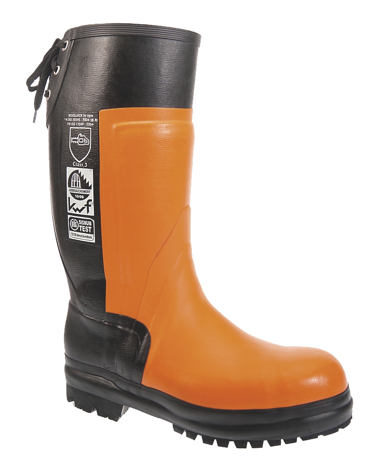 Bottes Santiago CL 3 CHoo4 de Francital