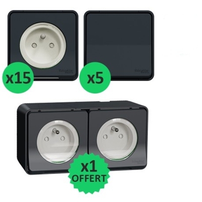 ProBox Mureva Styl gris 15 prises 2P+T + 5 VV + 2 prises lumin. (4 Leds)