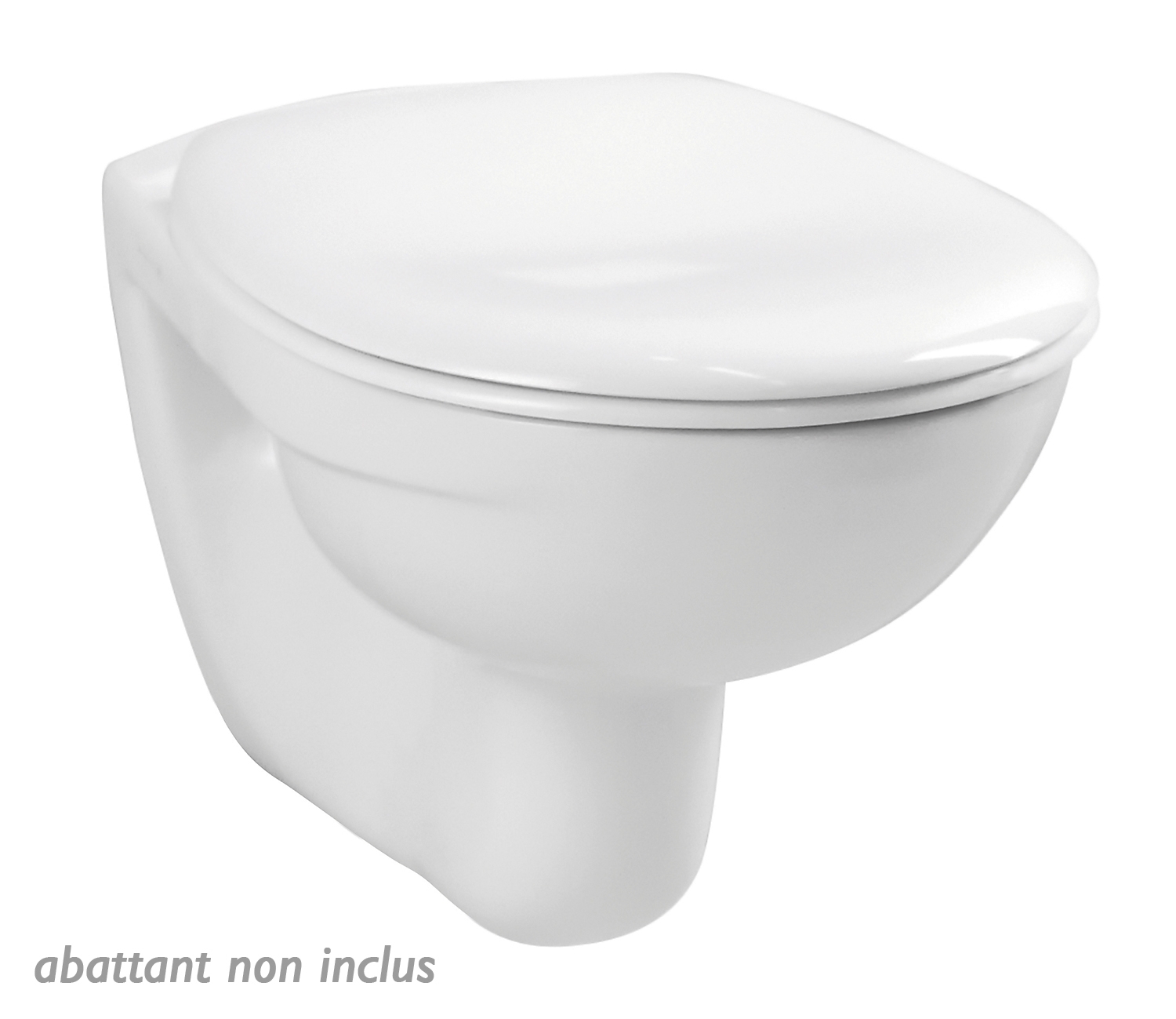 Abattant WC silencieux professionnel: Rossignol - Voussert