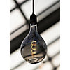 Lampe LED Filament PS165 Big Papi E27 3W 2200K Or dimmable Bailey