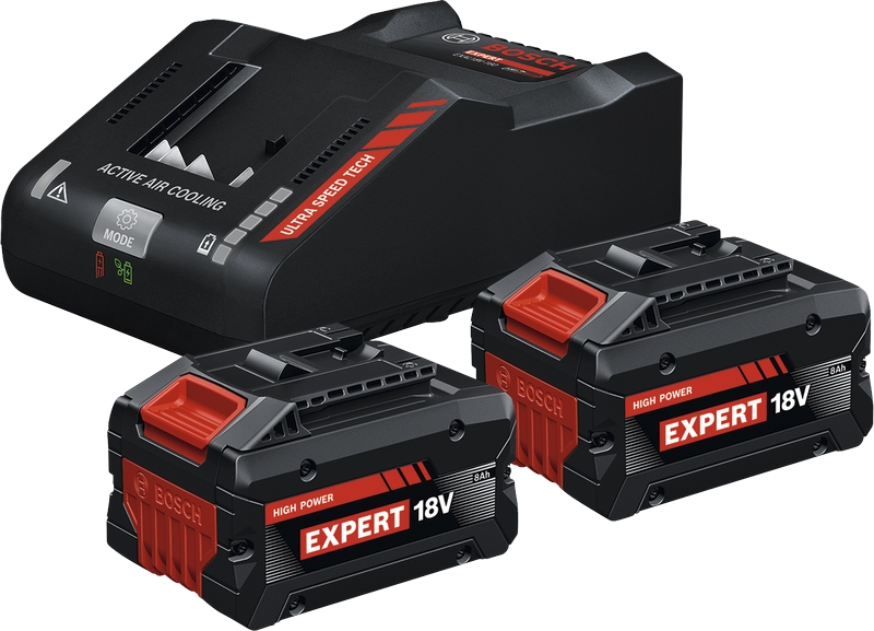 Pack 2 batteries Expert 18V + 1 chargeur