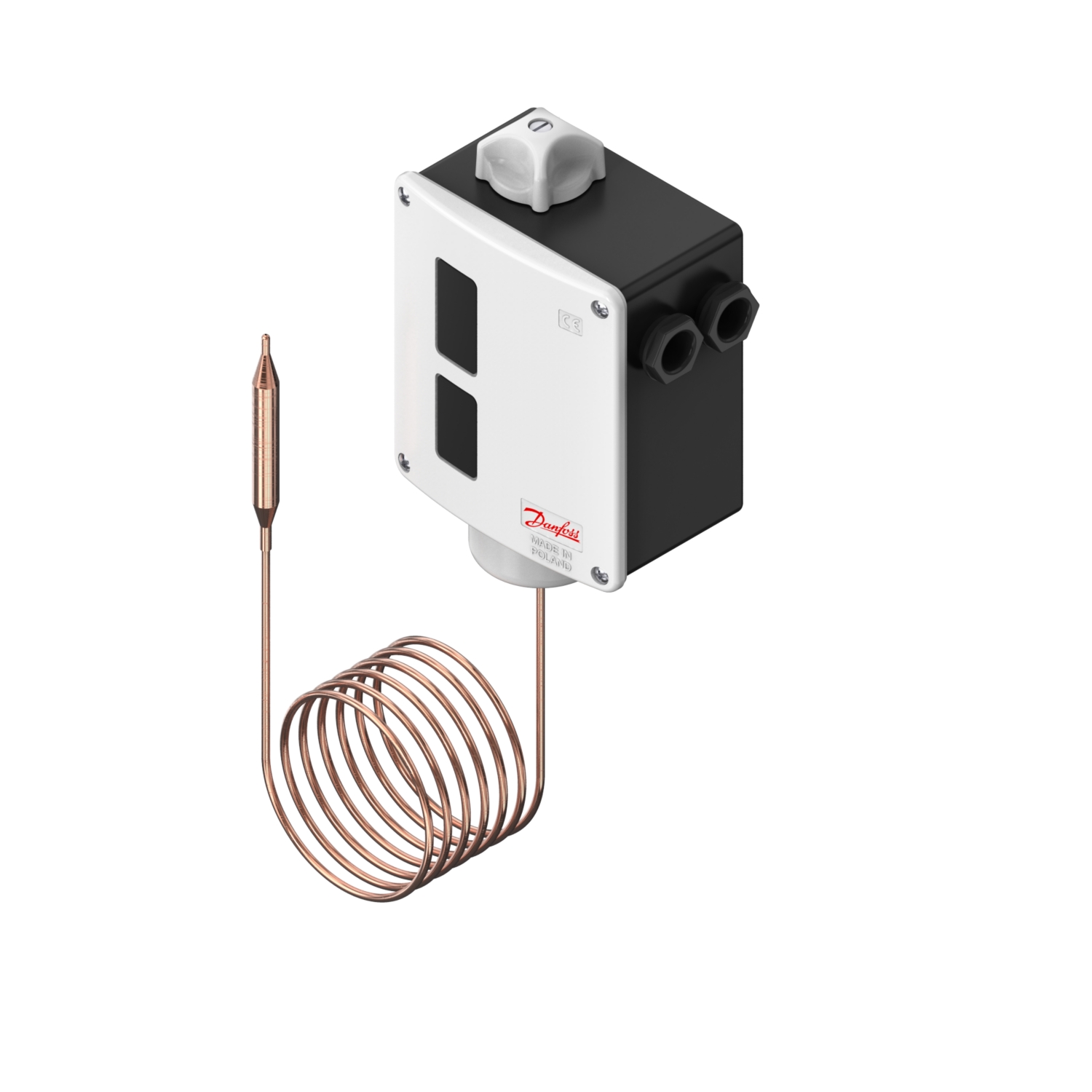 Thermostat à bulbe à distance série RT101L