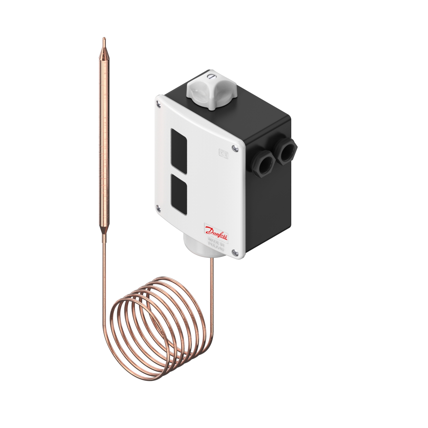 Thermostat à bulbe à distance série RT12