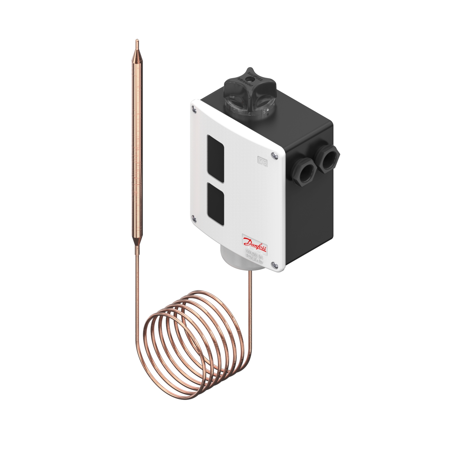 Thermostat à bulbe à distance série RT24