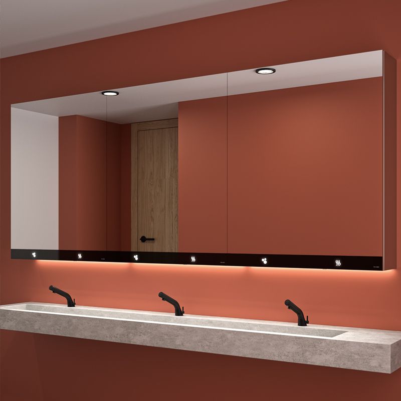 Armoire miroir 3 fonctions - sèche mains Delabie
