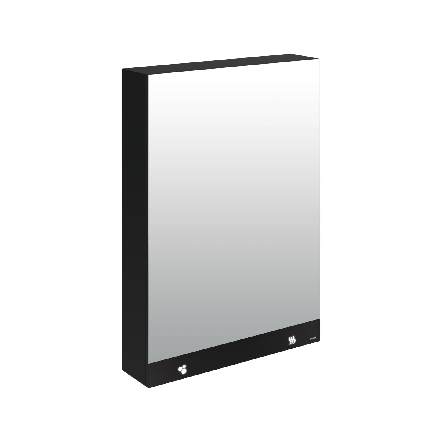 Armoire miroir 3 fonctions - Essuie-mains Delabie