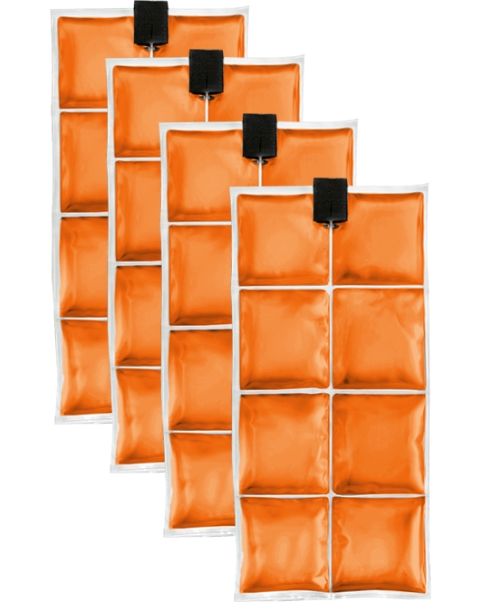 Lot de 4 Coolpac pour veste Bodycool Pro