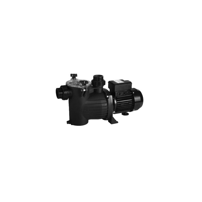 Pompe de piscine auto-amorçante monophasée avec pré-filtre - Série SWS Ebara