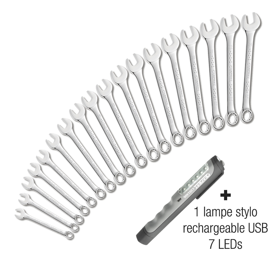 Clés mixtes en jeu de 16 + lampe stylo Expert
