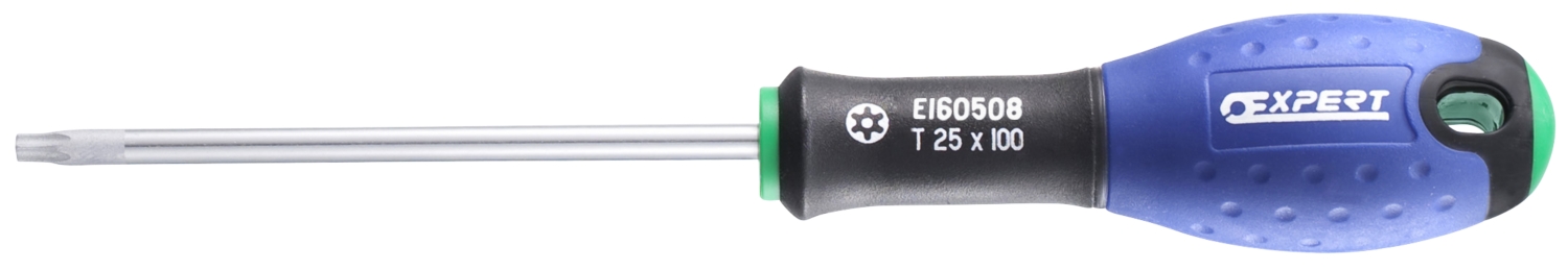 Tournevis Torx - Expert