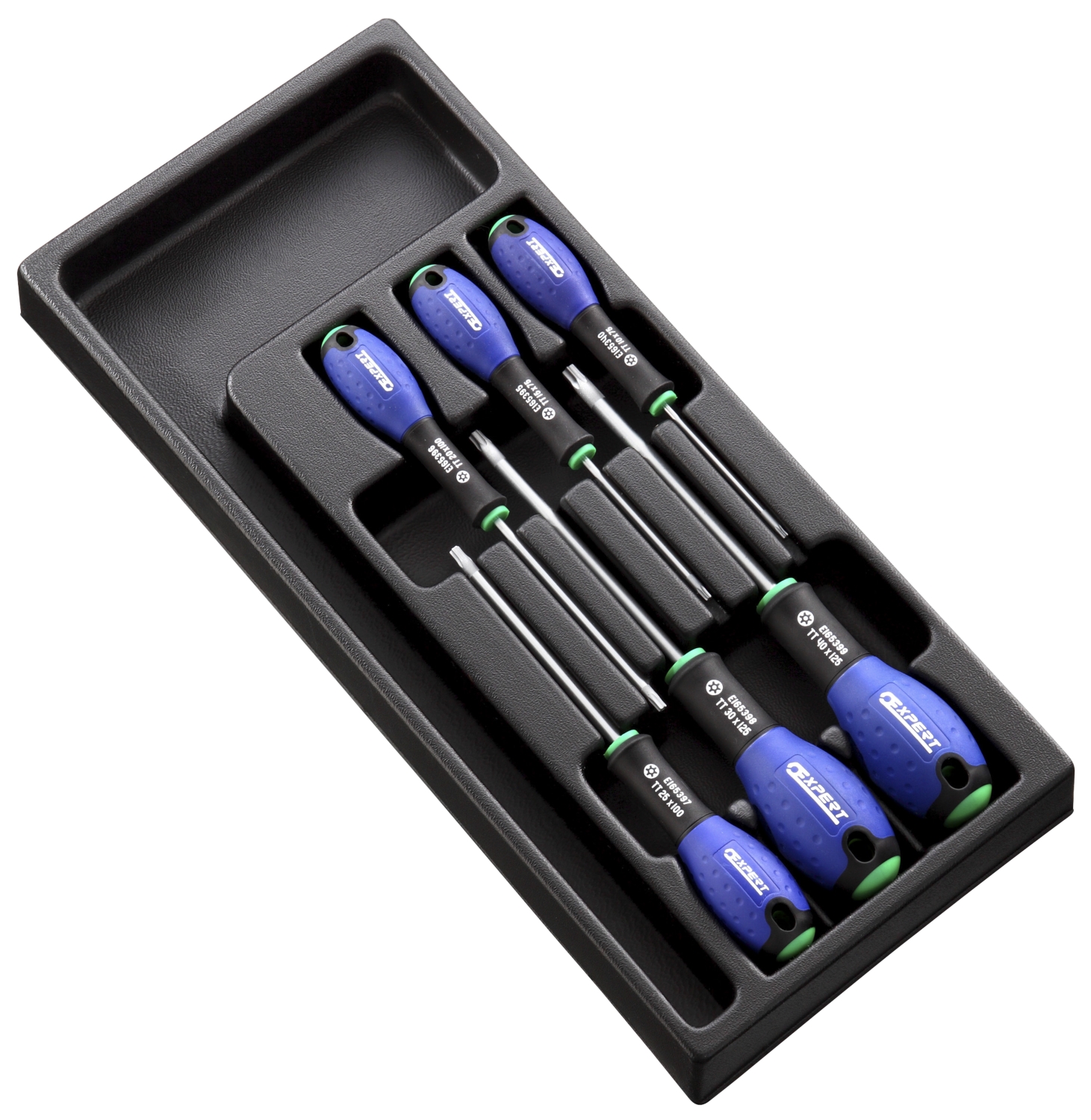Module de 6 tournevis Résistorx Expert