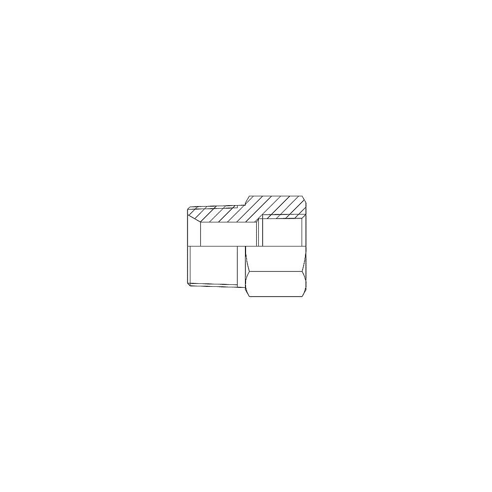 Adapteurs MNPT x FNPT Gem
