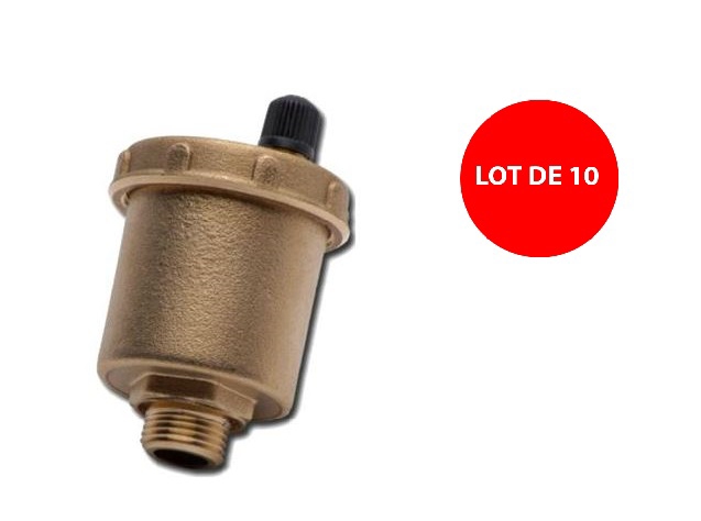 Lot de 10 purgeurs d'air droit avec clapet automatique 12x17