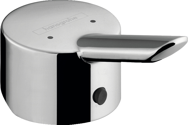 Poignée lavabo Focus S 31793000 Hansgrohe