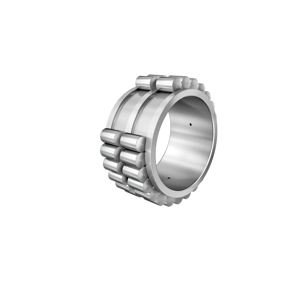 Roulements à rouleaux cylindriques sans cage série RSL