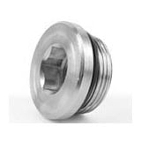 Bouchon tête 6 pans creux mâle BSPP joint ED - inox série VSTI-R-ED Parker