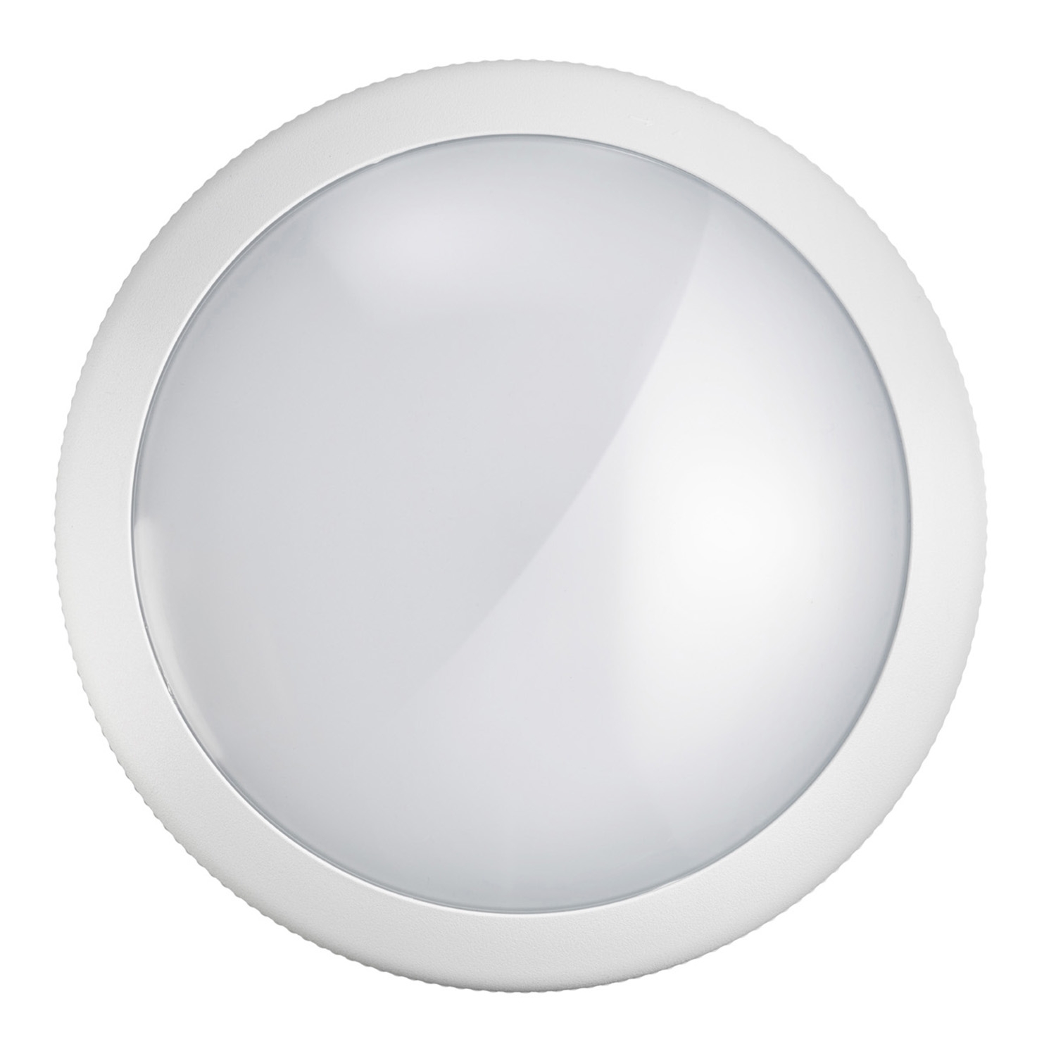 TF095-FOG SENSOR-20W-IP66-IK10-WHITE-3000K-850°