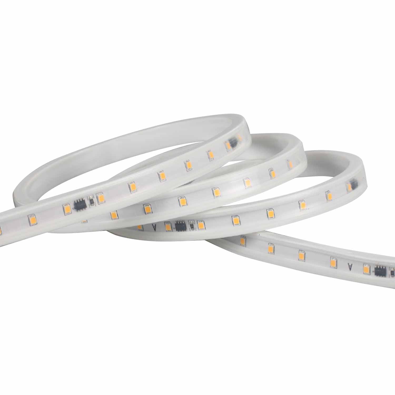 Ruban 5M 19,2W/M Ip67 3K