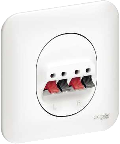 Ovalis complet - Prise courant faible Schneider Electric