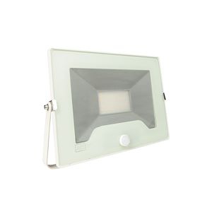 Projecteur Yako slim détect Europole