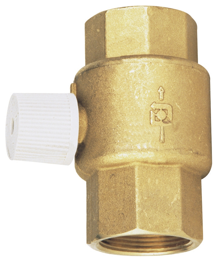 Clapet anti-thermosiphon débrayable FF RDF Watts