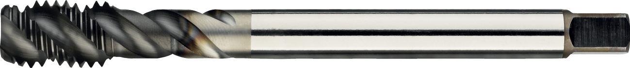 Taraud machine HSS-E métrique, vaporisé, inox Phantom