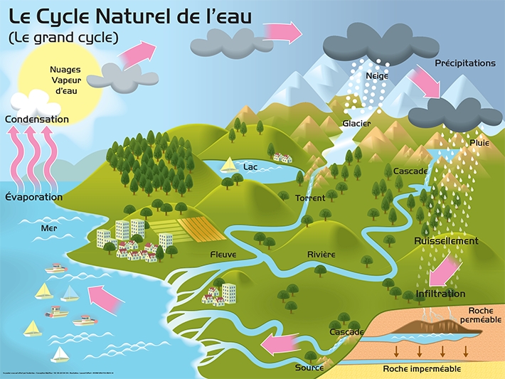 le cycle de l'eau : transpiration végétale, évaporation, condensation, précipitations, ruissellement et infiltration, retour vers la mer