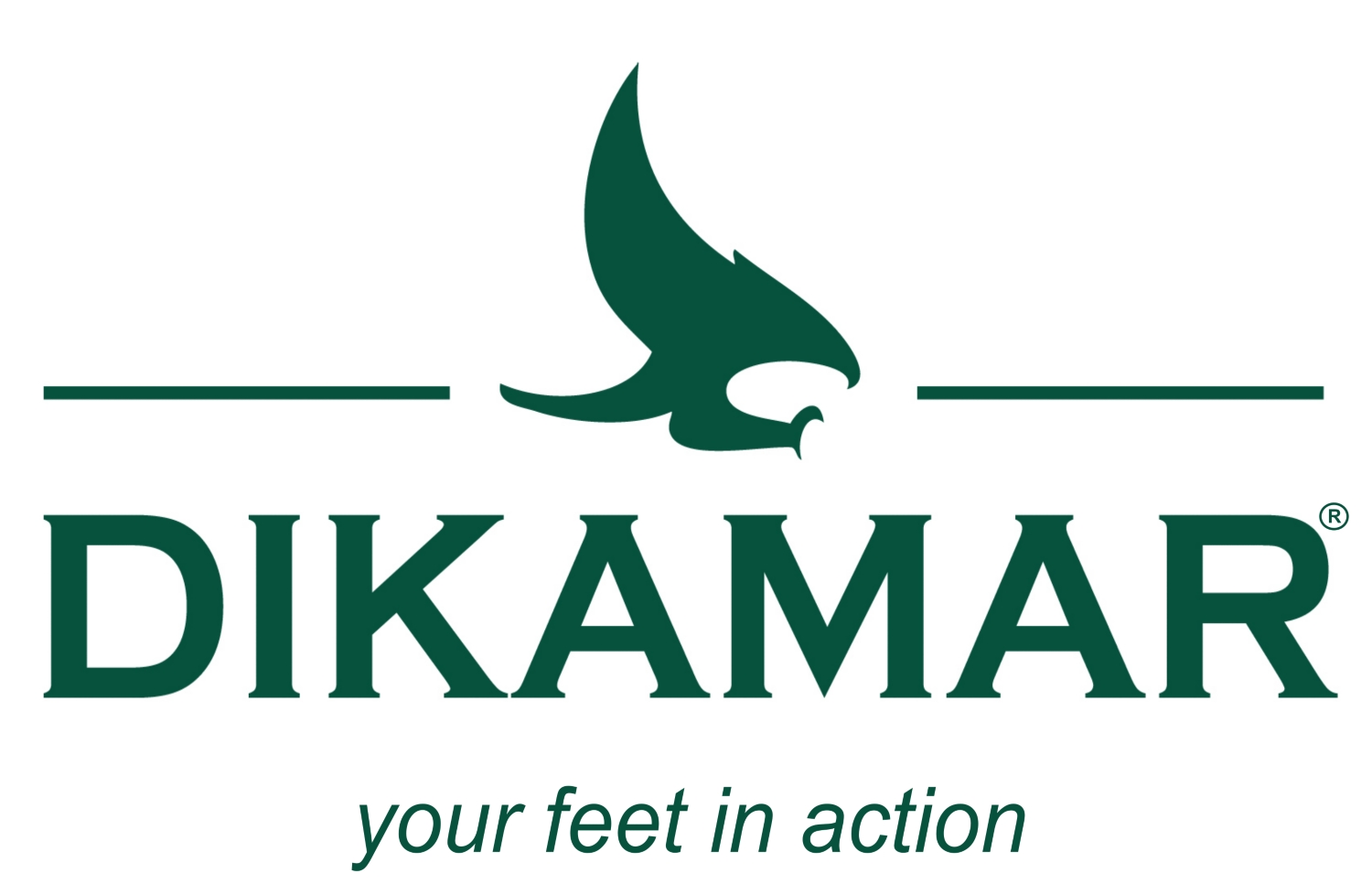 Logo Dikamar