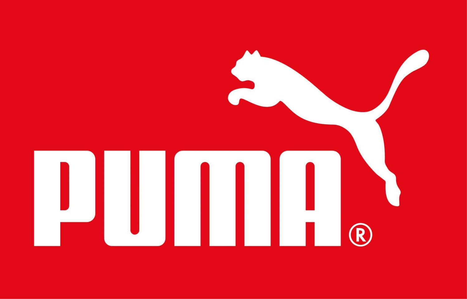 Logo Puma Safety